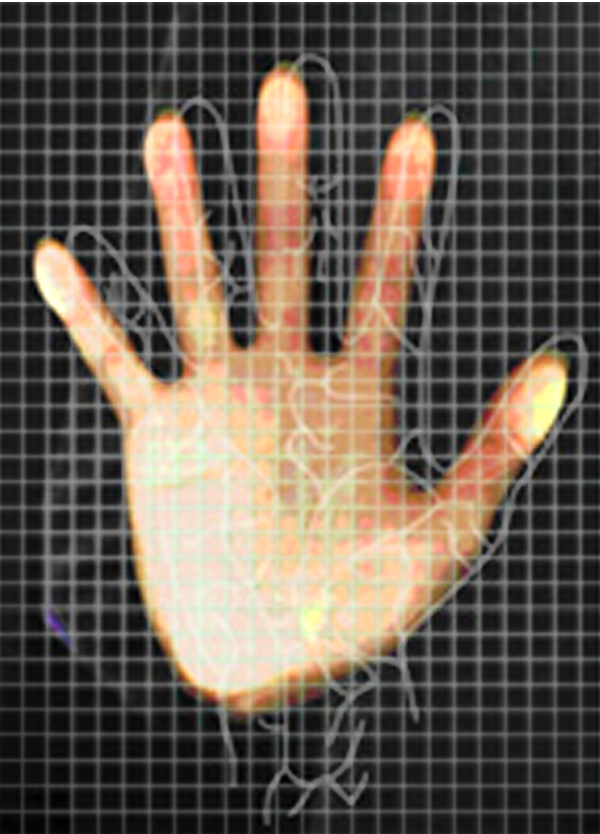 how does biometric identification work