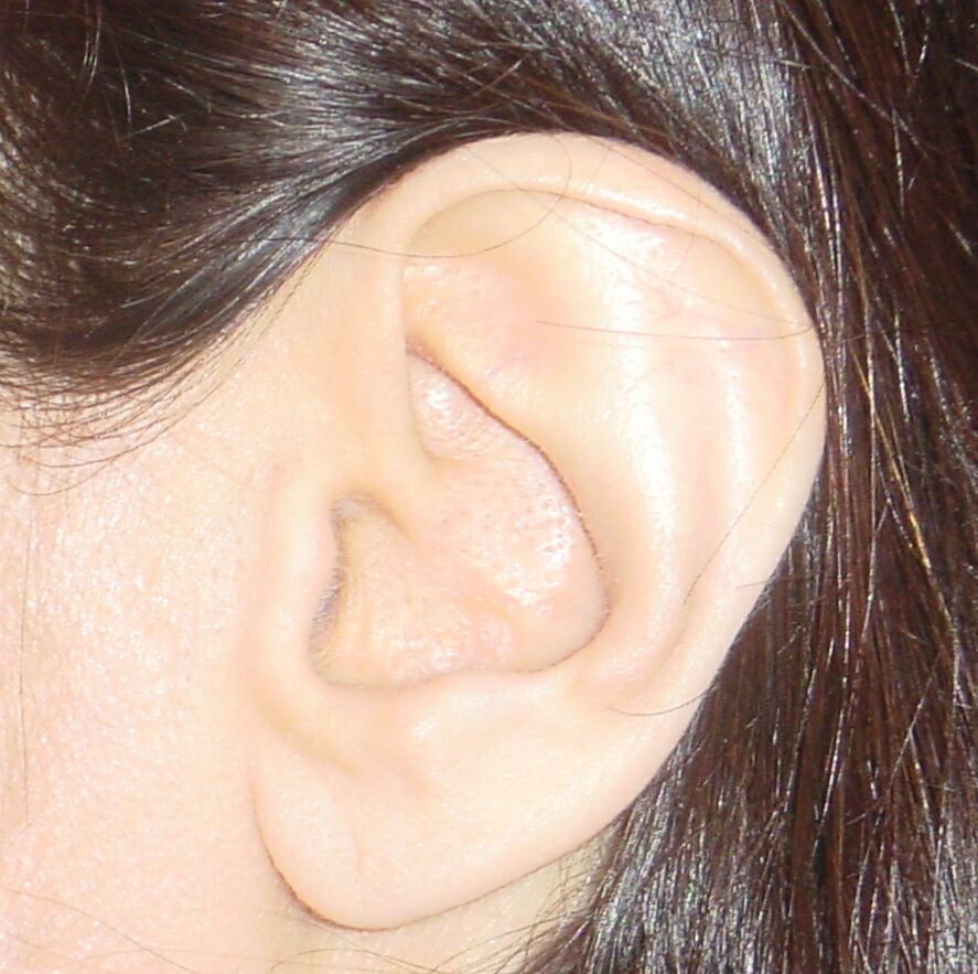Why Ears Are the Future of Biometrics M2SYS Blog On Biometric Technology