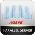 Parallel Server