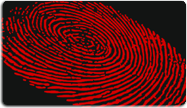 fingerprint sdk