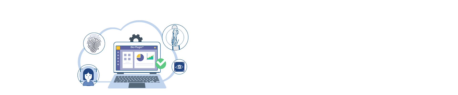 002-m2sys-white-banner