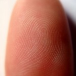 biometrics growing in acceptance by Americans fingerprint biometric technology