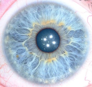 What is iris scan? Iris recognition and retinal scanning are two different biometric identification technologies