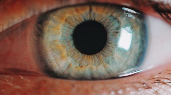 Biometrics industry clarifies Black Hat Conference paper that claimed to have re-engineered an iris image An iris biometrics expert clarifies the truth behind the technology in response to the Black Hat conference paper claiming to have hacked an iris template, recreated the image and fooled a recognition system