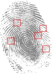 fingerprint biometrics to replace passwords for stronger data security