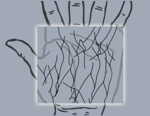 Palm vein biometrics