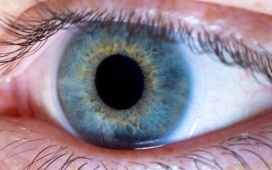 Iris recognition Vs. Palm Vein Biometrics – How do they compare?