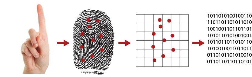 how-fingerprint-scanner works