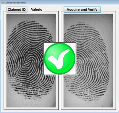 Biometric security for mobile environment