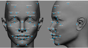 Facial recognition biometric security