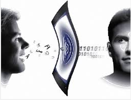 Voice biometric security