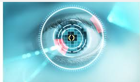 Iris recognition biometric security