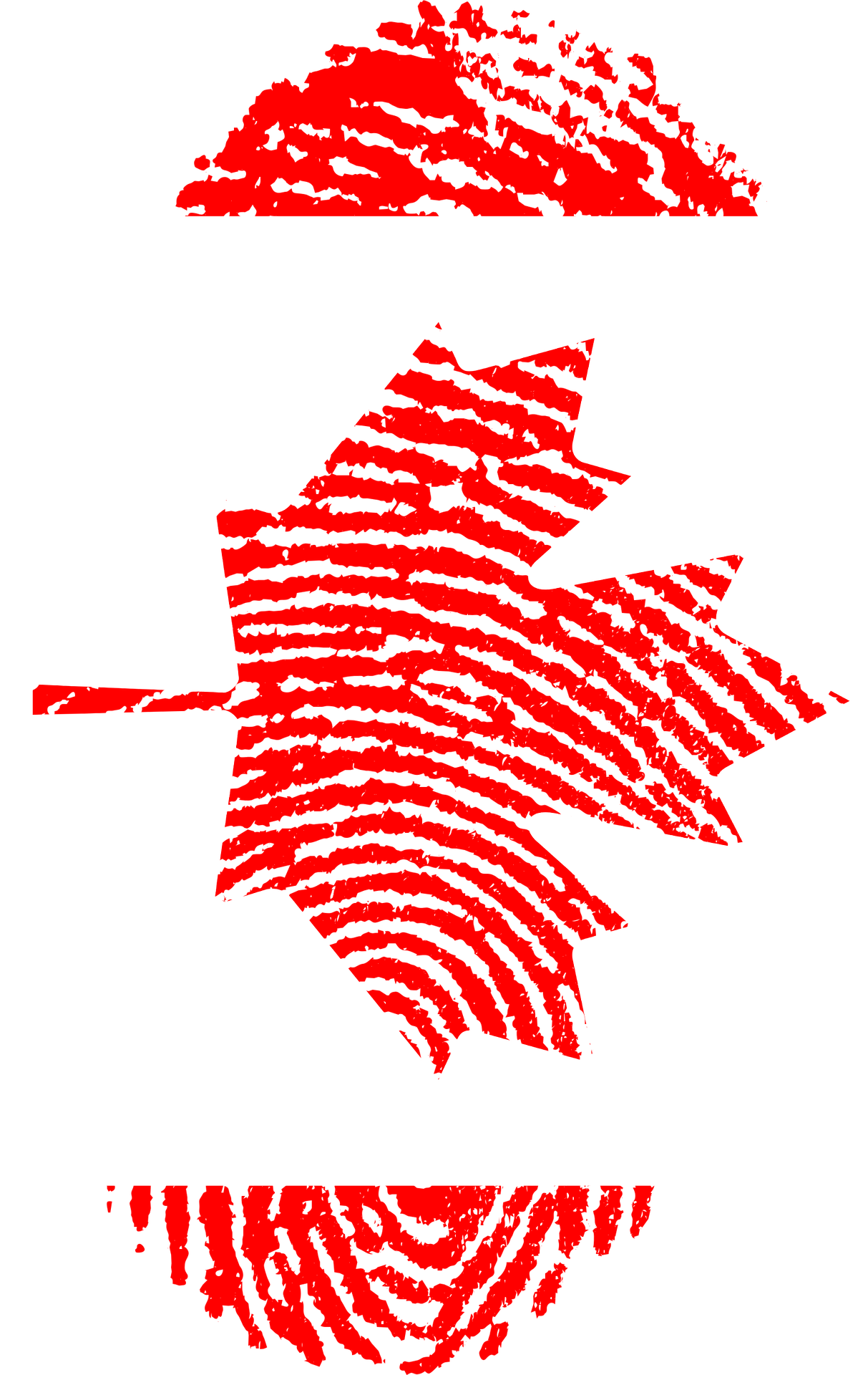 Canadian Biometrics M2SYS Blog On Biometric Technology