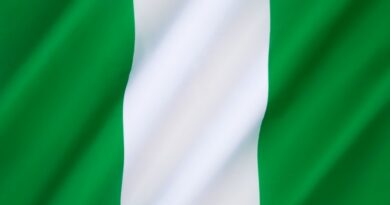 flag-of-nigeria