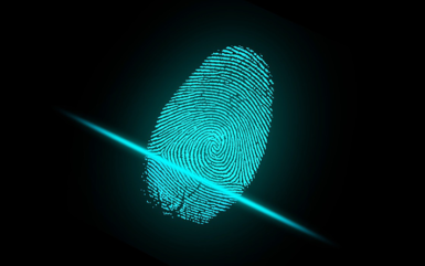 How to integrate fingerprint scanner with web applications