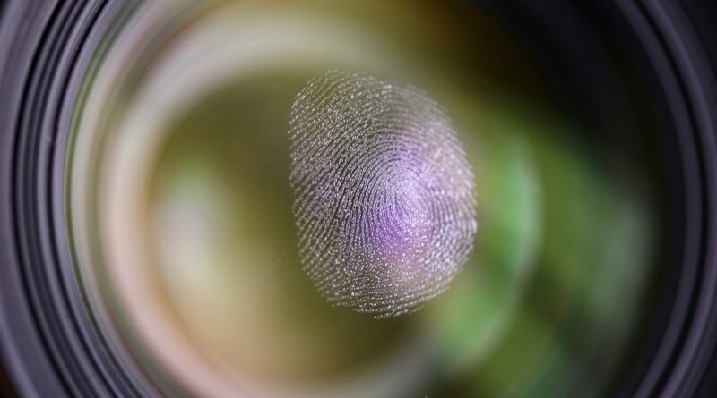 5-Reason-to-Use-Fingerprint-Recognition-Software-for-Secure-Identification