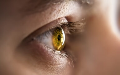 Infographic: How to Setup an Iris Recognition Camera