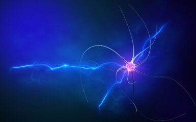 The Role Of Biometrics In Neuromarketing