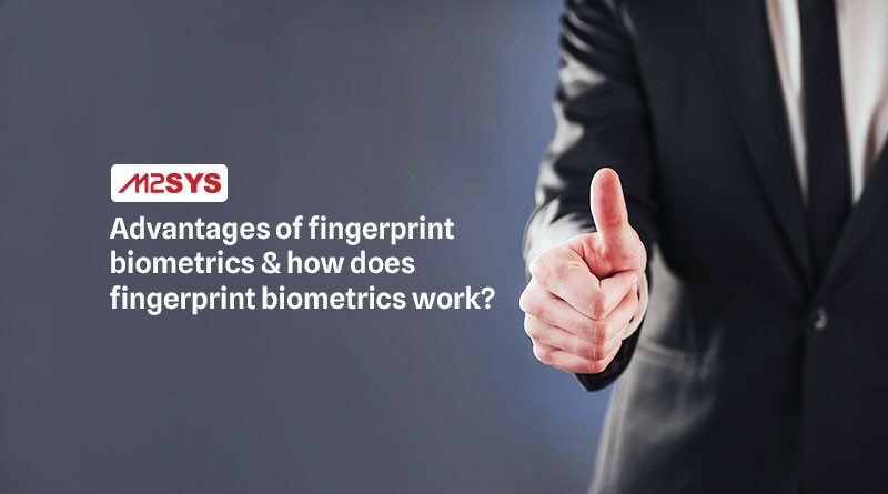 Advantages of fingerprint biometrics & how does fingerprint biometrics work
