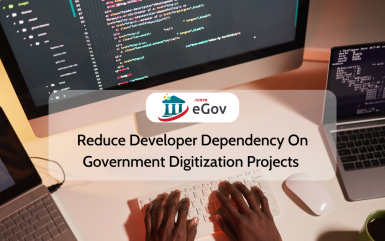 Reduce Developer Dependency On Government Digitization Projects