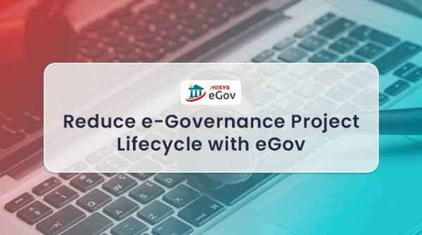 Reduce e-Governance Project Lifecycle