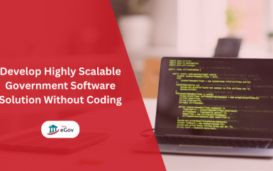 Develop A Highly Scalable Government Software Solution Without Coding