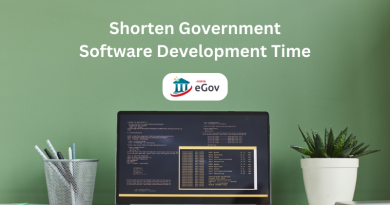 Government Software Development
