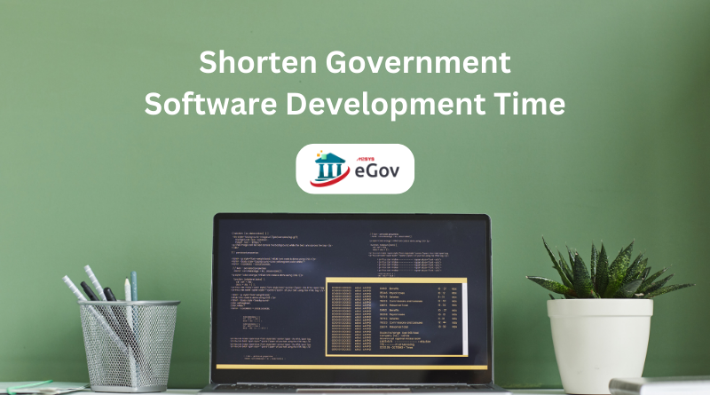 Government Software Development