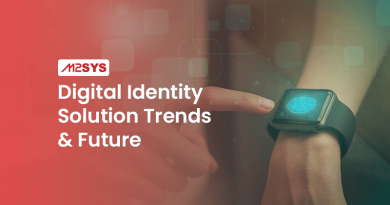 Digital Identity Solution: Trends of 2023 and the future