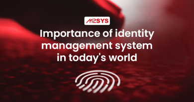 Importance-of-identity-management-system-in-todays-world