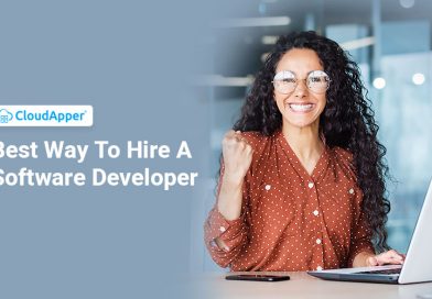 Which Is The Best Way To Hire A Software Developer?