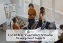 AI In Government Software