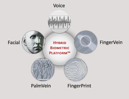 Hybrid-Biometric-Platform