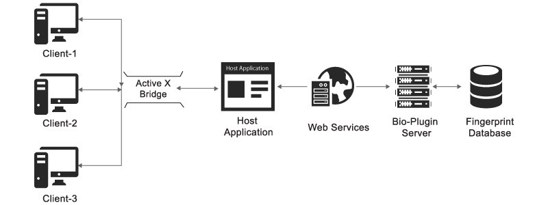 Biometric SDK Integration into Web-based Software