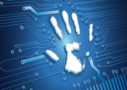 M2SYS Biometric SDK Solutions