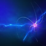 the-role-of-biometrics-in-neuromarketing